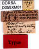 CollectionObject 1505020; c7f7d7be-29f3-4d30-8c43-3a14720bcb7b, DORSA D059XM01: labels (syntype). (CollectionObject).