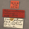 CollectionObject 1507300; 8eaa05bb-16ee-4997-ab53-9899202b2b67: labels (holotype). (CollectionObject).