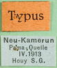 CollectionObject 1501347; fd2077f3-6e2f-4ef0-9651-142fbd3c5191: labels (holotype of Gymnobothrus houyi). (CollectionObject).