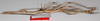 CollectionObject 1563490; de07c452-751f-4685-9c42-1435f6cd9768: copyright F. Hennemann. male (paratype). (CollectionObject).;CollectionObject 1563491; 50291e33-5ce1-404b-be41-102db5fb136b: copyright F. Hennemann. male (paratype). (CollectionObject).