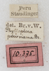 CollectionObject 1532267; NMW 10375, 19959b67-3d57-4723-900e-f534c575753f: labels (holotype). (CollectionObject).