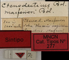 CollectionObject 1535140; d6b64985-9ad4-4c2a-8085-eee6970f5694: labels (syntype). (CollectionObject).