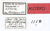 CollectionObject 1564950; ec972723-ab7a-413c-badb-24d72d006801, MLP1118/3-11'': labels (allotype). (CollectionObject).