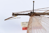 CollectionObject 1559086; 191866a6-e339-4106-8e17-5b325599de48: copyright ANSP. male: head & thorax, dorsal view (holotype). (CollectionObject).