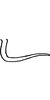 Pygofer appendages: !! display not done !! on Kunzeana popae Ruppel & DeLong, 1951: Pygofer appendages. (Observation).