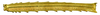 CollectionObject 1567607; c186bc43-a406-4dd2-bd95-e7cf8fc38a5b: copyright Brussels. female, mid femur (paratype). (CollectionObject).;CollectionObject 1567608; 9f20d4e0-ad33-40ba-bea8-18b1a1f859c3: copyright Brussels. female, mid femur (paratype). (CollectionObject).