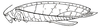 Opisthodicrus cochlearistylus Karsch, 1891: Fig. 9. female (tegmina length 53-64 mm). (Otu).