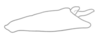 Anal tube processes: (Observation).