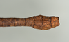 CollectionObject 1557499; e7c1d4a6-f5b9-4eda-aa61-d3650334bb10: copyright USNM, Washington. (CollectionObject).