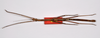 CollectionObject 1563556; 1bf13562-0a32-48bc-9da7-2b38cc70b074: copyright ZMHB, Berlin. female Dixippus jejunus, dorsal view (paralectotype). (CollectionObject).;CollectionObject 1563557; c091931c-2b98-41b9-b163-46a243f59248: copyright ZMHB, Berlin. female Dixippus jejunus, dorsal view (paralectotype). (CollectionObject).