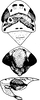 Head on Diomma (Diomma) pulchrum (Matsumura, 1916): Head, pro-, and mesothorax. (Observation).