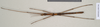 CollectionObject 1559916; 630d30de-80ea-4ee9-ad4d-d0e411c40016: copyright Natural History Museum, London. male (paratype). (CollectionObject).;CollectionObject 1559917; 8acea706-d42c-46d4-9bde-b95b67061095: copyright Natural History Museum, London. male (paratype). (CollectionObject).