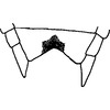 Ovipositor: Sternite VII. (Observation).