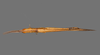 CollectionObject 1524412; 3b5affa0-d233-4f46-81ee-5fee74c157e8: male, dorsal view (holotype). (CollectionObject).