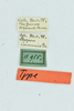 CollectionObject 1531748; 20697b80-5758-403a-aa06-353650e85941: labels (holotype). (CollectionObject).