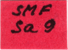 CollectionObject 1590013; 9e0c4322-da10-434b-b457-03e01684358f: label (allotype). (CollectionObject).