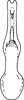 Aedeagus, ventral view on Arboridia (Arboridia) soror Dworakowska, 1977: Aedeagus, ventral view. (Observation).