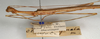 CollectionObject 1560584; NMW 1121, 53003761-6c39-4897-ae89-7f763a2462d6: copyright NMW, Vienna. male: head and thorax, lateral view (holotype). (CollectionObject).