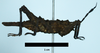 CollectionObject 1599189; e568fc7d-ce5f-429b-ab37-6cd2f9a78221: female paratype (lateral view). (CollectionObject).