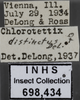 Other: !! display not done !! on Chlorotettix distinctus DeLong, 1918: (Observation).