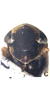 Head on Diplocolenus (Verdanus) evansi (Ashmead, 1904): Face. (Observation).