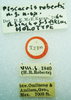 CollectionObject 1523773; 1fce6014-41cc-4544-86bc-39949d7a1bb2: male, labels (holotype). (CollectionObject).