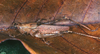 Mesagraecia bicolor Ingrisch, 1998: 2003. male habitus, lateral view. (Otu).