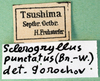 CollectionObject 1501926; af75c4e5-73b9-4a72-9d9b-f43d575770ca: labels. (CollectionObject).