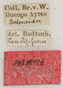 CollectionObject 1589283; 82d9306b-d82f-4c30-8301-563bcb3650f1: labels (syntype). (CollectionObject).