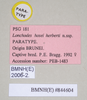 CollectionObject 1559430; 0ff15772-69cf-4ade-93a0-39d16826f620: copyright Natural History Museum, London. female, data labels of synonym Lonchodes hosei herberti (paratype). (CollectionObject).;CollectionObject 1559431; 46b1f043-e927-45f1-9ae1-a4e9b7601344: copyright Natural History Museum, London. female, data labels of synonym Lonchodes hosei herberti (paratype). (CollectionObject).