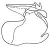 Euschmidtia sansibarica Karsch, 1889: Fig. 454. phallic complex, lateral view. (Otu).