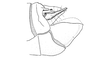 Cloephoracris disrupta Rowell, 1999: Fig. 7B. male abdomen tip, lateral view. (Otu).