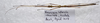 CollectionObject 1584590; c88a7819-9cb8-406d-94b2-ebc232789bdf: (CollectionObject).