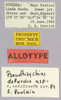 CollectionObject 1499631; c6973753-4634-4141-9904-371319541682: labels (allotype). (CollectionObject).