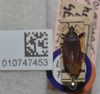 Neolethaeus typicus Distant, 1909: Neolethaeus typicus. Lectotype- dorsal habitus. (BMNH) - (CC BY-NC 4.0) Photo by Stuart Cole, reproduced with permission from the Natural History Museum, London, UK. (Otu).