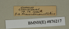 CollectionObject 1572908; 8c746067-6aaf-43fa-a04e-534793023cf6: Copyright Natural History Museum, London. Labels from non-type (adult female) in BM(NH). (CollectionObject).