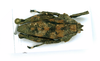 CollectionObject 2052448; bec28ca9-e099-46ac-b993-882095c3cd94: female, dorsal view (holotype). (CollectionObject).