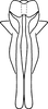 Aedeagus, ventral view: Aedeagus, ventral view. (Observation).