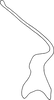 Stylus on Andanus raunoi (Zanol, 1993): Stylus. (Observation).
