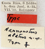 CollectionObject 1532921; 84d1b6c2-d772-4c48-8864-2dce5c911722: labels (allotype). (CollectionObject).
