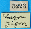 CollectionObject 1502554; 5225a78d-c180-47f9-bad5-8e462d24789e: labels. (CollectionObject).