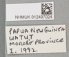 CollectionObject 1589804; a39a13ab-2831-4d71-9684-e78fac396e7f: copyright NHMUK, London. male, data label (holotype). (CollectionObject).