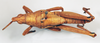 CollectionObject 1540607; 1565bf4c-fb6c-4f8e-9a08-dfddf9e30266: male, dorsal view (holotype). (CollectionObject).