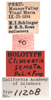 Other on Darma semota (DeLong & Freytag, 1969): (Observation).