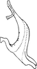 Aedeagus, lateral view on Asymmetrasca lutowa (Dworakowska, 1971): Aedeagus (holotype), lateral view. (Observation).