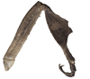 CollectionObject 1529743; NHRS NRM-ORTH0009197, 49682db8-3297-4dbf-8e63-9bbe870ab061: male, midleg lateral view (holotype). (CollectionObject).