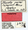 labels (paratype). Depicts CollectionObject 1514415; 1f358c2a-8d5a-4044-a288-bb1032764540, MLP3494/1, a CollectionObject.