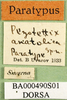 CollectionObject 1575478; 890e8b6d-57ab-44ed-98b0-bee0667f3da2: labels (paratype). (CollectionObject).