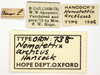 labels (syntype of Nomotettix arcticus). Depicts CollectionObject 1580785; f62e2c2b-29a5-4a30-8cb0-e16ea95a6669, a CollectionObject.