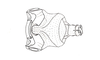 Dichroplus fuscus (Thunberg, 1815): FIg. 8. epiphallus, ectophallus and aedeagus apex, dorsal view. (Otu).